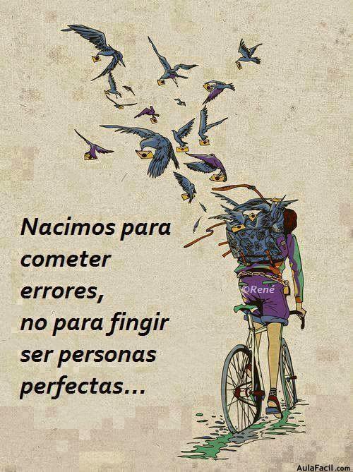 No Somos Perfectos