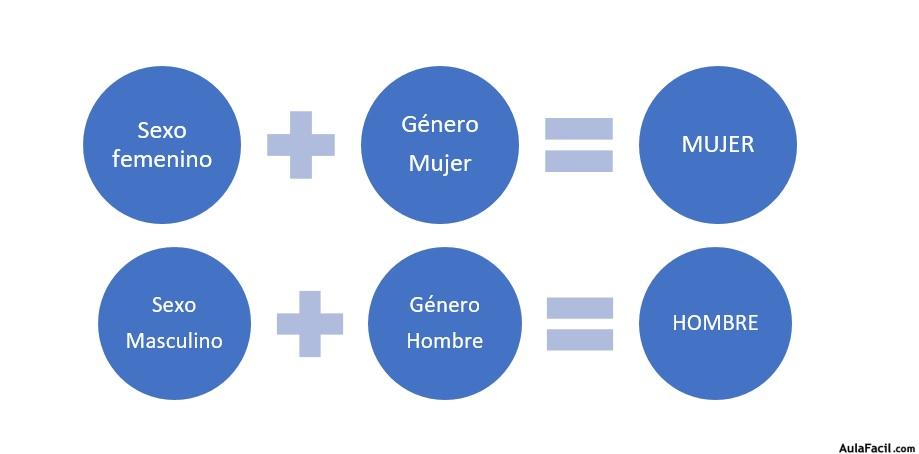 compartimentos