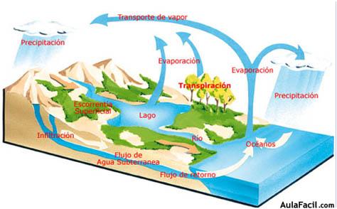 El ciclo del agua