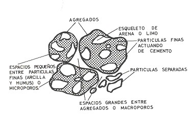 Estructura