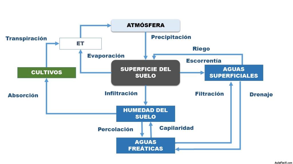 Ciclo agrohidrogógico (ciclo del agua)