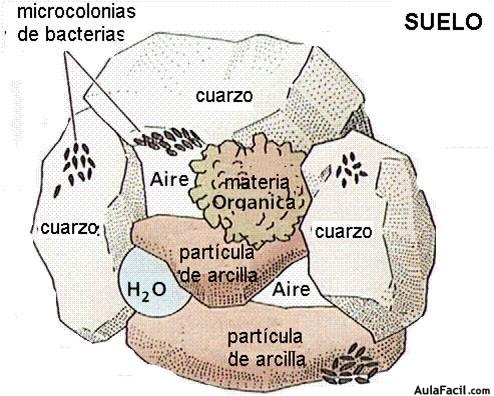 Imagen4