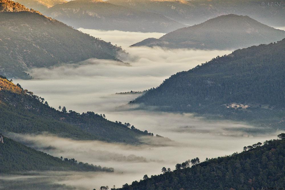 Niebla por radiación