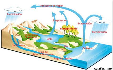 Ciclo del Agua