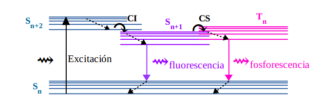 fotolum