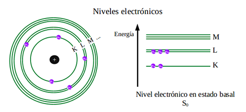 novelect1