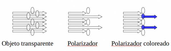 polarizadorol