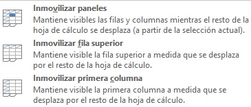 IM 12 INMOVILIZAR FILAS Y COLUMNAS 2