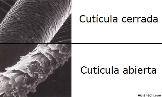 Cabello Cabello