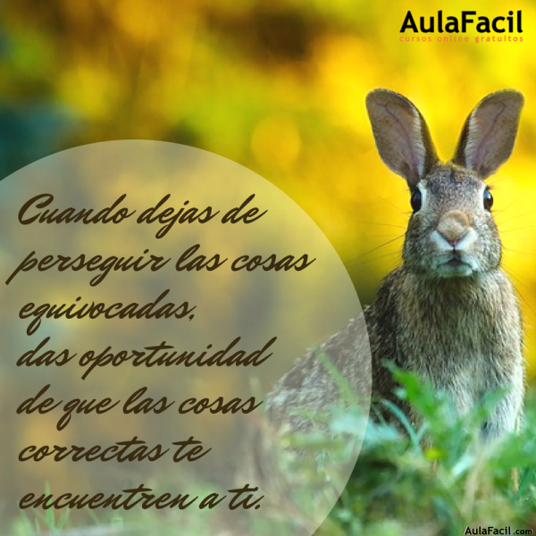 PensamientoPositivo perseguir AulaFacil