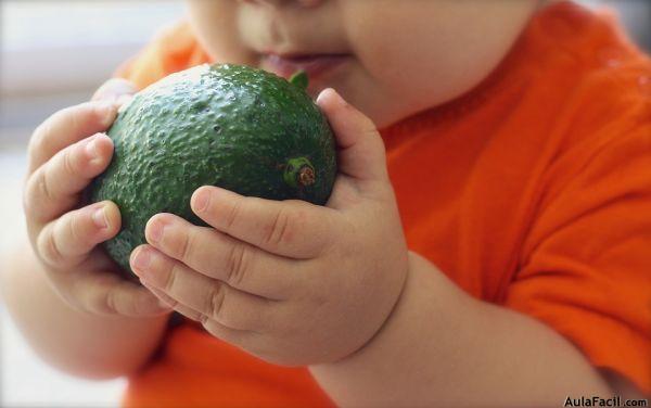 avocado 1476493 960 720 avocado 1476493 960 720