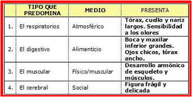 esquema tipo sigaud