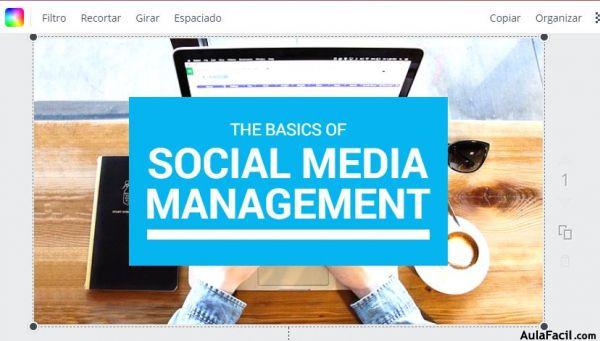 canva84 canva84