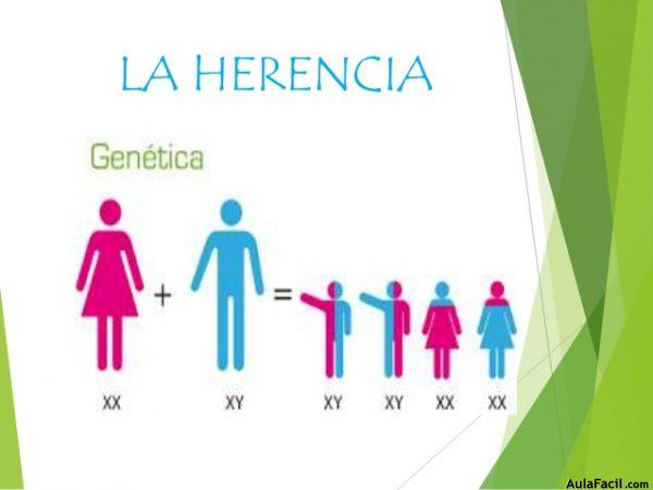 herencia y genetica total 18 638