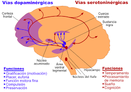 Serotonina y dopamina