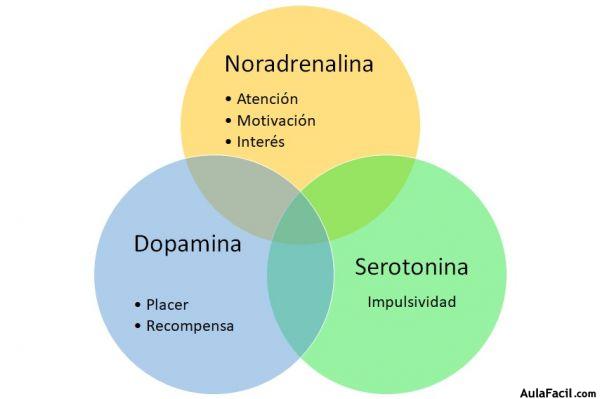 neurotransmisores