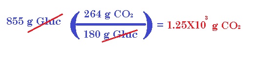 6E 6E