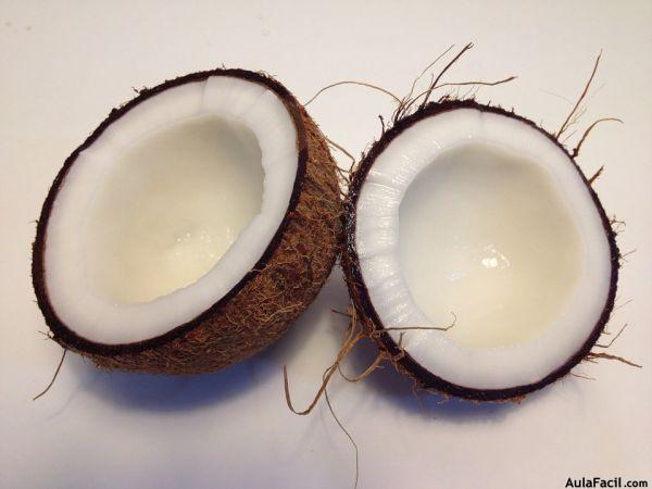 coconut 1771527 960 720 coconut 1771527 960 720