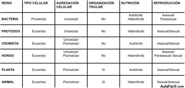 Cuadro Comparativo