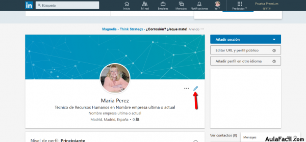 Linkedin Pefil 3