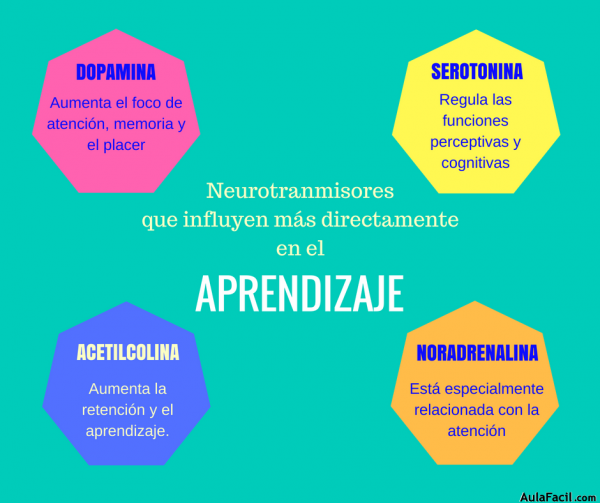 imagen neurotrasmisores