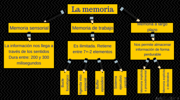 resumen memoria