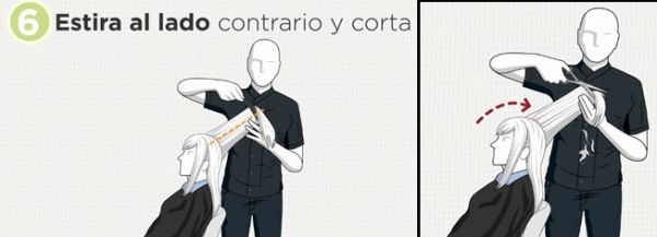 Sin título16 Sin título16