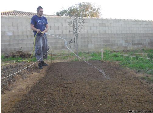 Huerto Casero