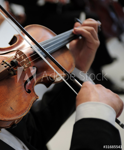 Violin