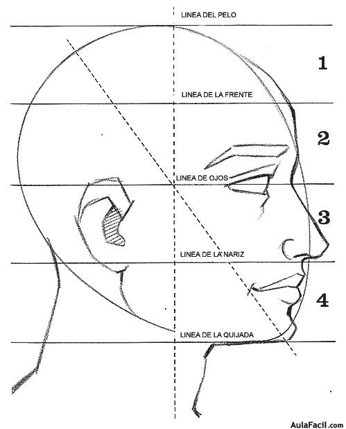 rostro