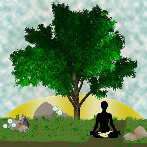 yoga 1787663 960 720 yoga 1787663 960 720