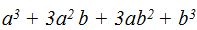 Lenguaje Algebraico