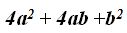 Lenguaje Algebraico