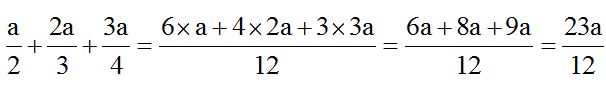 Lenguaje Algebraico