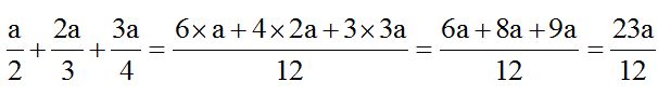 Lenguaje Algebraico