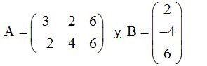 matrices y determinantes