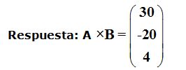 matrices y determinantes