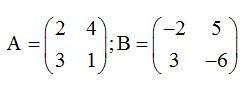 matrices y determinantes