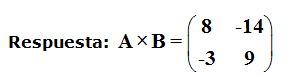 matrices y determinantes