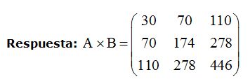 matrices y determinantes