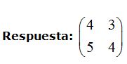 matrices y determinantes