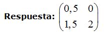 matrices y determinantes