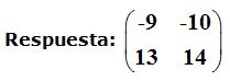 matrices y determinantes