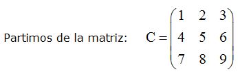 matrices y determinantes