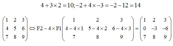 matrices y determinantes