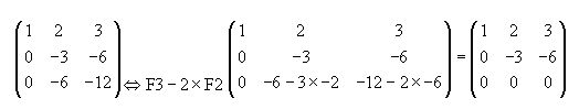 matrices y determinantes