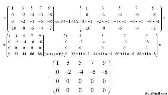 matrices y determinantes