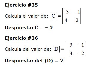 matrices y determinantes