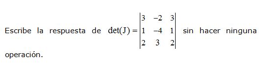 matrices y determinantes