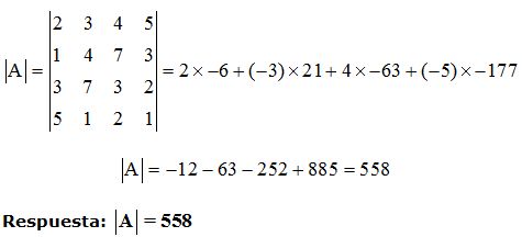 matrices y determinantes